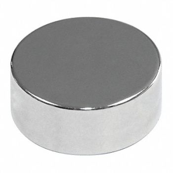 MAG-MATE Disc Magnet Neodymium 3/8 in., 31LU58