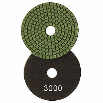 DIAMOND VANTAGE Polishing Pad 4 in Dia 800 Grit, 31NE49