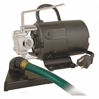 FLINT WALLING Pump Utility 1/12 HP 115V, 32JA72