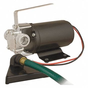 FLINT WALLING Pump Utility 1/12 HP 12VDC, 32JA73