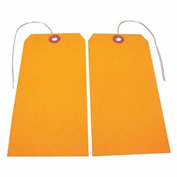BADGER TAG LABEL CORP Blank Shipping Tag Paper Colored PK25, 32KL11