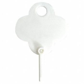 GRAINGER APPROVED Replacement Key Tag Shamrock PK100, 33J873