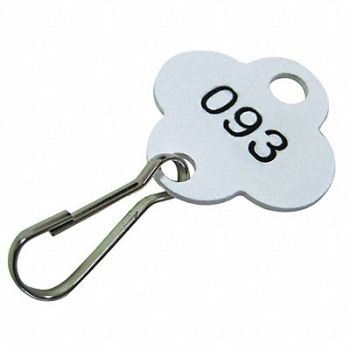 GRAINGER APPROVED Key Tag Numbered 1 to 40 PK40, 33J882