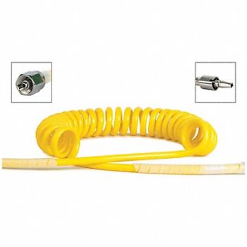 MAXTEC Single Coil Hose Air Schrader Wall Conn, 33JV09