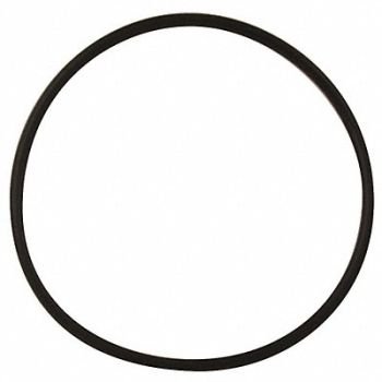 FLINT WALLING O-Ring Viton, 33L698