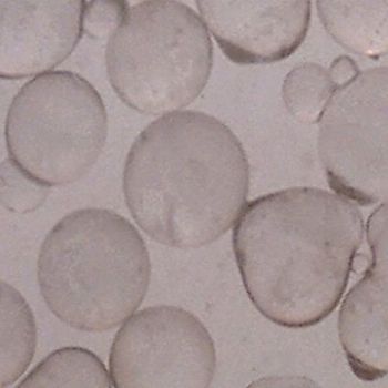 GRAINGER APPROVED Blast Media Glass Beads 80 Grit, 35KJ36
