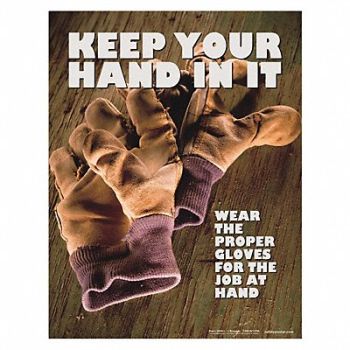 SAFETYPOSTER.COM Safety Poster 22 in x 17 in Paper, 35LF96