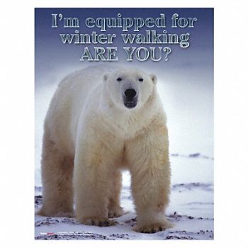 SAFETYPOSTER.COM Safety Poster 22 in x 17 in Paper, 35LF99