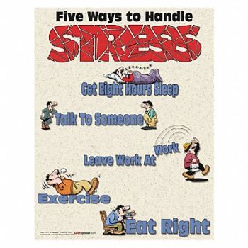 SAFETYPOSTER.COM Safety Poster 22 in x 17 in Paper, 35LG39