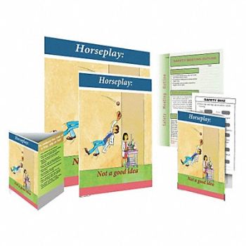 SAFETYPOSTER.COM Safe System Kit Horseplay - Not ENG, 35LL20