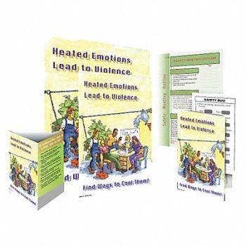 SAFETYPOSTER.COM Safe System Kit Heated Emotions ENG, 35LL35