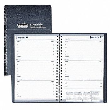 HOUSE OF DOOLITTLE Appointment Book Weekly, 35X133