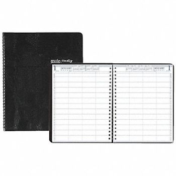 HOUSE OF DOOLITTLE Appointment Book Daily, 35X145