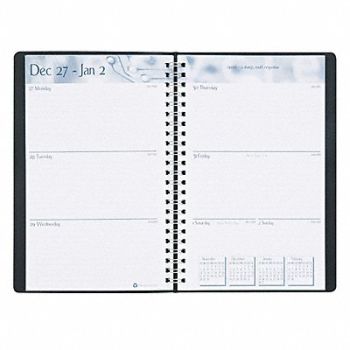 HOUSE OF DOOLITTLE Appointment Book Monthly Weekly, 35X146