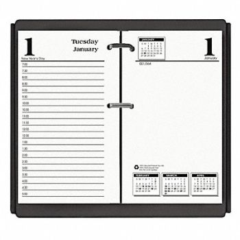 HOUSE OF DOOLITTLE Calendar Refill Daily 3-1/2 x 6 In White, 35X173