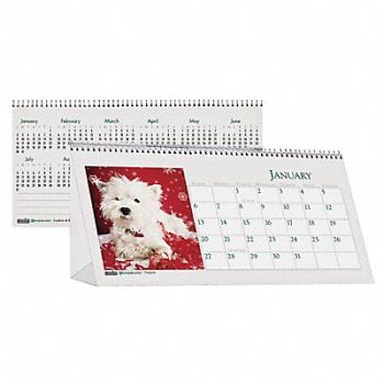 HOUSE OF DOOLITTLE Monthly Calendar Tent 8-1/2x4-1/2 In, 35X174