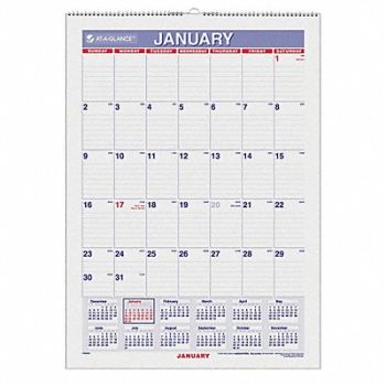 AT-A-GLANCE Laminated Wall Calendar 12x17 In., 35X202