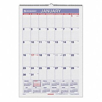 AT-A-GLANCE Laminated Wall Calendar 15-1/2x22-3/4 In, 35X203