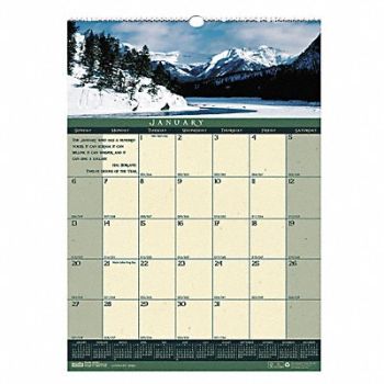 HOUSE OF DOOLITTLE Monthly Wall Calendar 12x16-1/2 In., 35X206