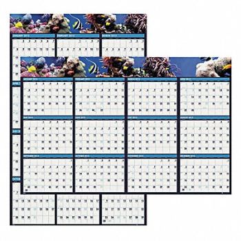 HOUSE OF DOOLITTLE Wall Calendar Reverse/Erase 24x37 In., 35X220