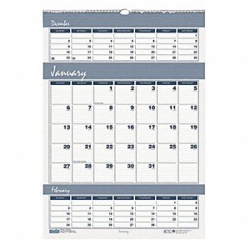 HOUSE OF DOOLITTLE Wall Calendar 15-1/2x22 In., 35X232