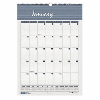 HOUSE OF DOOLITTLE Monthly Wall Calendar 22x31-1/4 In., 35X248