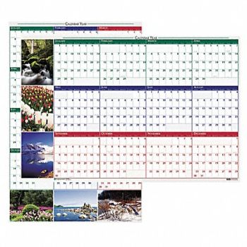 HOUSE OF DOOLITTLE Wall Calendar Reverse/Erase 24x37 In., 35X264
