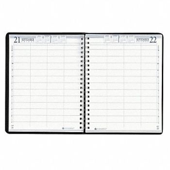 HOUSE OF DOOLITTLE Appointment Book Daily, 35X318