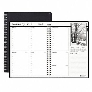 HOUSE OF DOOLITTLE Weekly Appt. Book Photo 8-1/2x11 In., 35X332