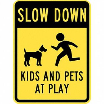 LYLE Kids and Pets at Play Sign 24 x 18, 36A806