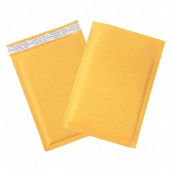 GRAINGER APPROVED Mailer Envelope Paper Self Sealing PK25, 36DZ05