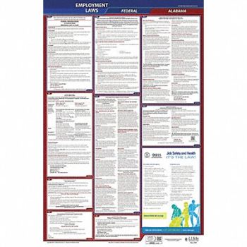 JJ KELLER LaborLaw Poster Fed/STA AL ENG 26inH 1yr, 36EP41