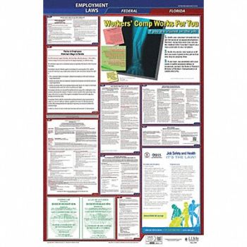 JJ KELLER LaborLaw Poster Fed/STA FL ENG 26inH 3yr, 36ER56