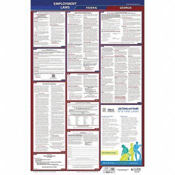 JJ KELLER LaborLaw Poster Fed/STA GA ENG 26inH 1yr, 36EP50