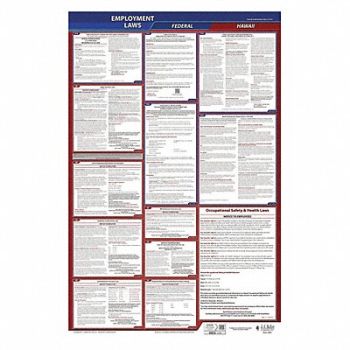 JJ KELLER LaborLaw Poster Fed/STA HI ENG 26inH 3yr, 36ER58