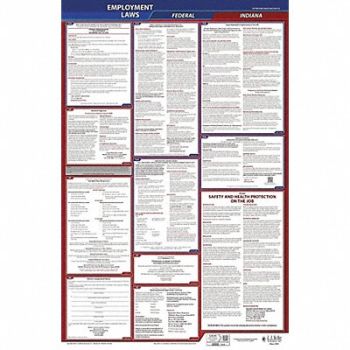 JJ KELLER LaborLaw Poster Fed/STA IN ENG 40Wx26inH, 36EN48