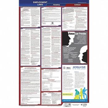 JJ KELLER LaborLaw Poster Fed/STA KS ENG 40Wx26inH, 36EN49