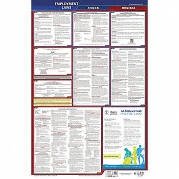JJ KELLER LaborLaw Poster Fed/STA MT ENG 26inH 1yr, 36EP66
