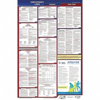 JJ KELLER LaborLaw Poster Fed/STA NY ENG 40Wx26inH, 36EN67