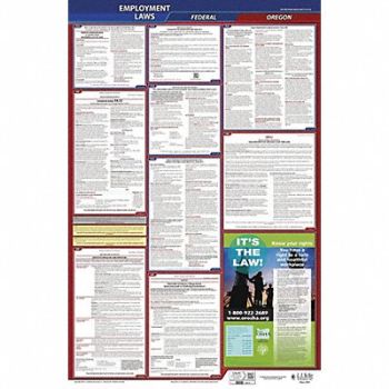 JJ KELLER LaborLaw Poster Fed/STA OR ENG 26inH 1yr, 36EP77