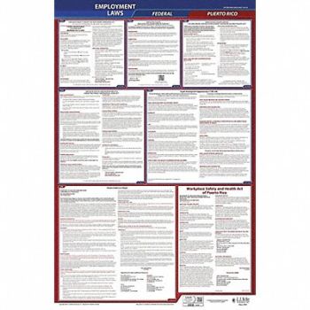 JJ KELLER LaborLaw Poster Fed/STA PR ENG 40Wx26inH, 36EN72