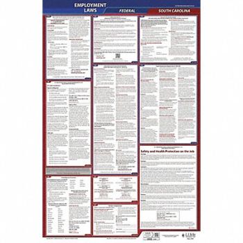 JJ KELLER LaborLaw Poster Fed/STA SC ENG 26inH 1yr, 36EP81