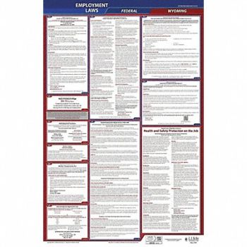 JJ KELLER LaborLaw Poster Fed/STA WY ENG 26inH 1yr, 36EP92