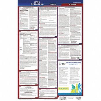 JJ KELLER Labor Law Poster Fed/STA AL SP 26inH 1yr, 36EP94