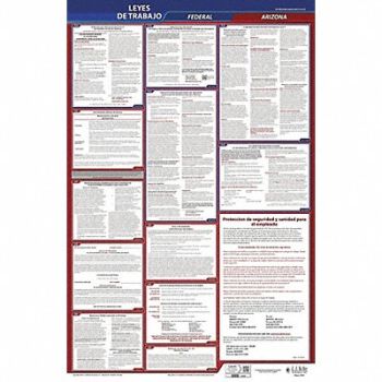 JJ KELLER Labor Law Poster Fed/STA AZ SP 26inH 1yr, 36EP96
