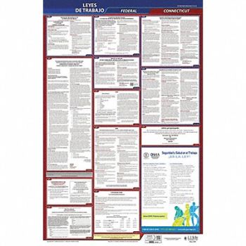 JJ KELLER Labor Law Poster Fed/STA CT SP 40Wx26inH, 36EN91