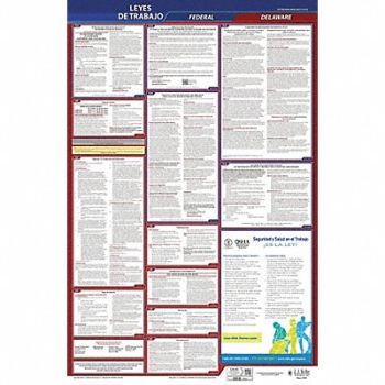 JJ KELLER Labor Law Poster Fed/STA DE SP 26inH 1yr, 36ER02