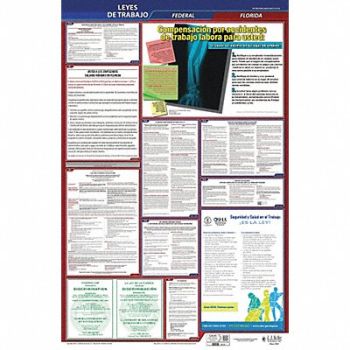JJ KELLER Labor Law Poster Fed/STA FL SP 40Wx26inH, 36EN95