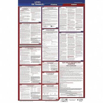 JJ KELLER Labor Law Poster Fed/STA HI SP 26inH 1yr, 36ER05