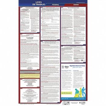 JJ KELLER Labor Law Poster Fed/STA ID SP 40Wx26inH, 36EN99